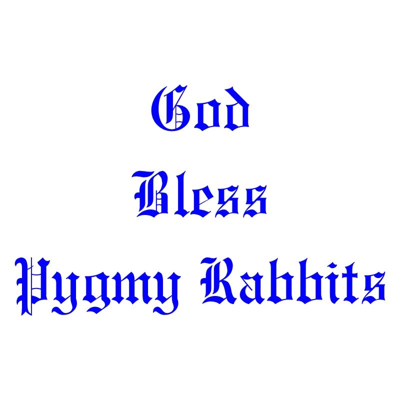 GodBlessPygmyRabbits