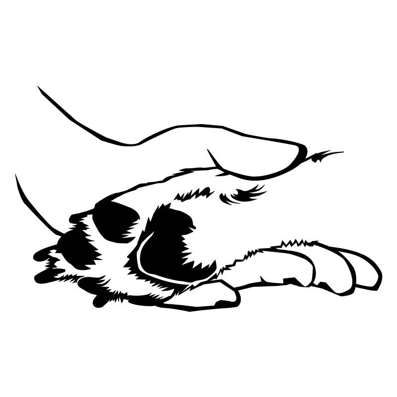 Hund in Hand