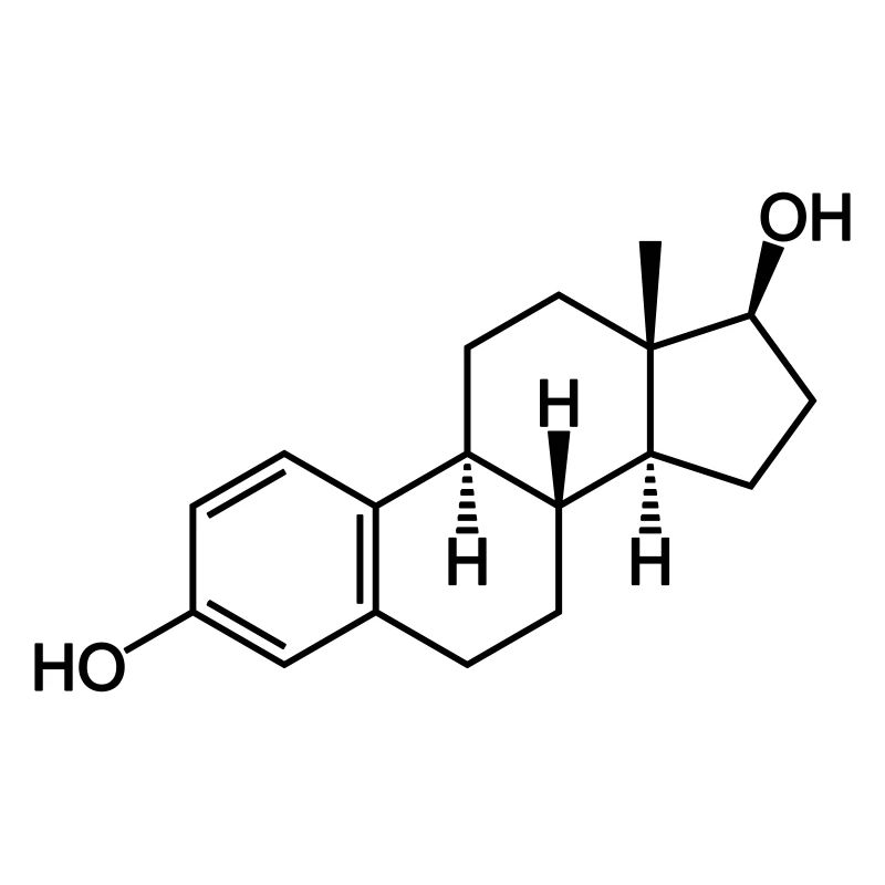 Östrogen (Estradiol)