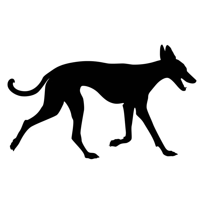Podenco runs along