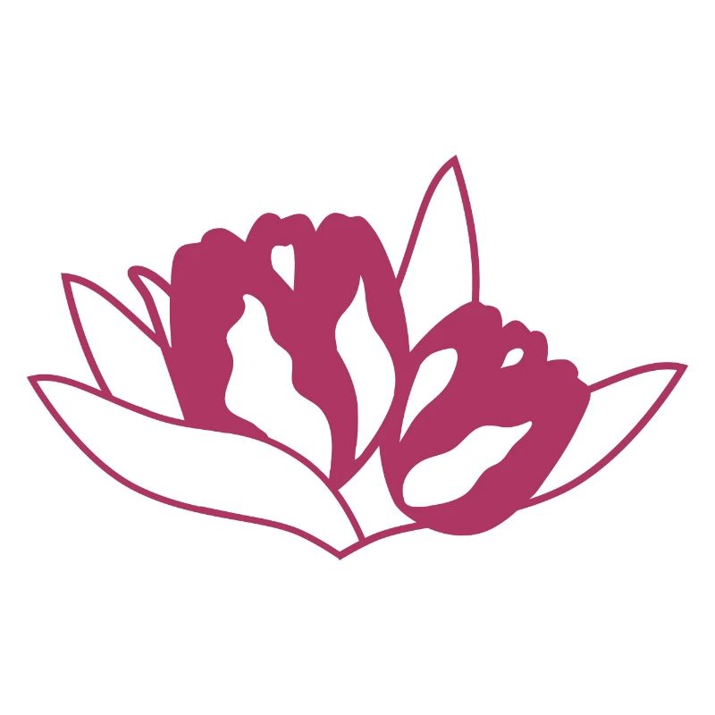 Tulpe