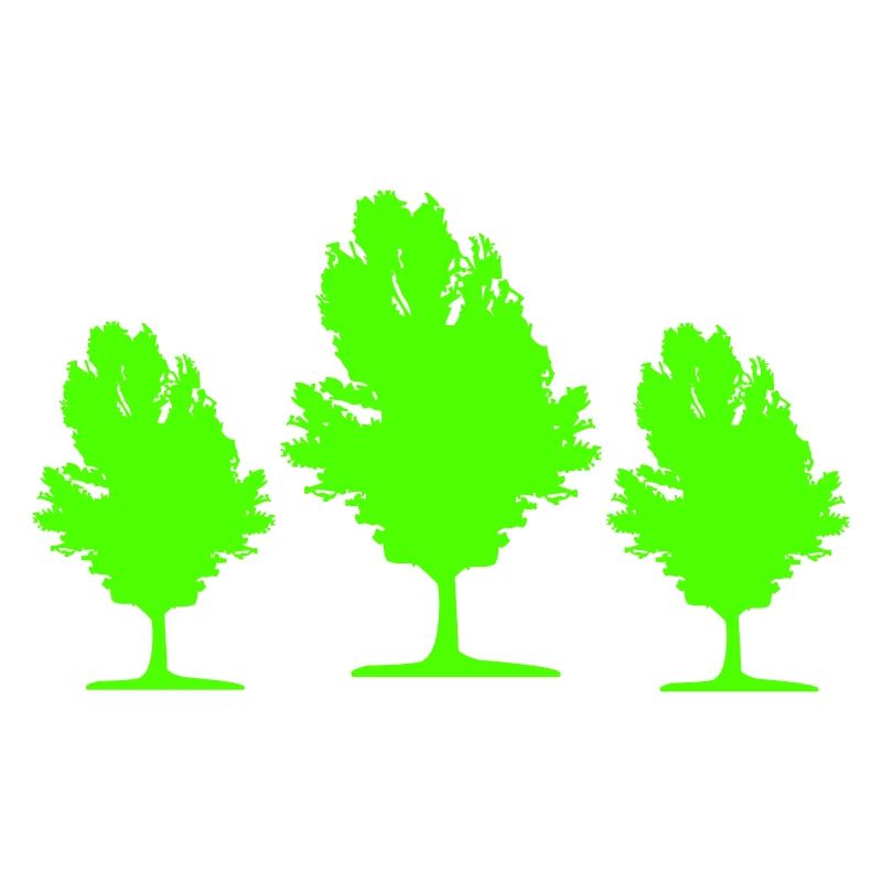 Tree 02