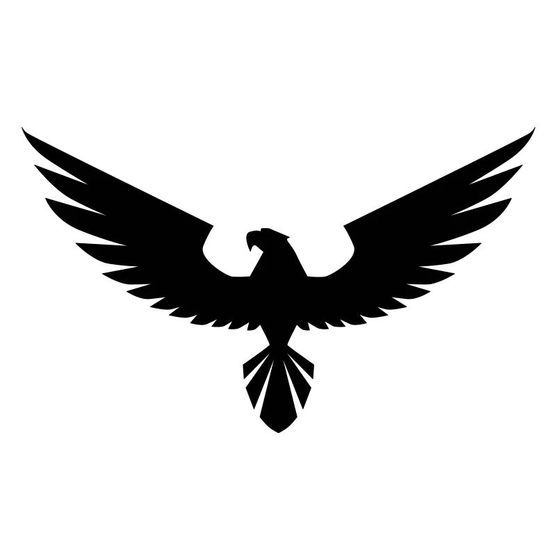 hawk