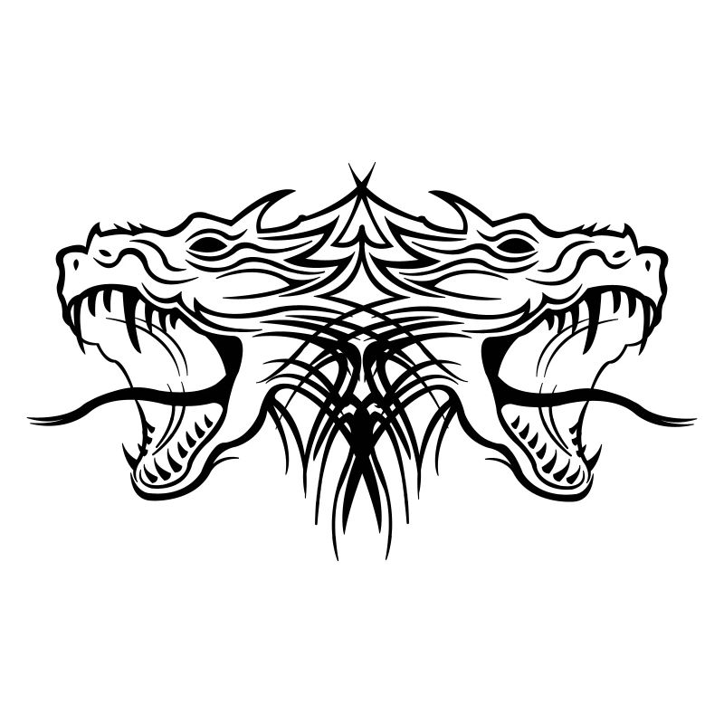 dragon2