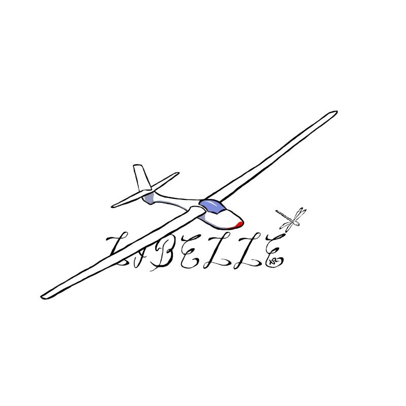 Libelle Segelflugzeug