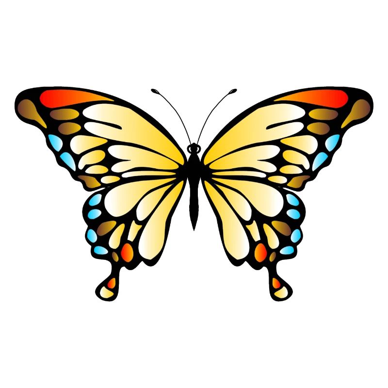 Schmetterling