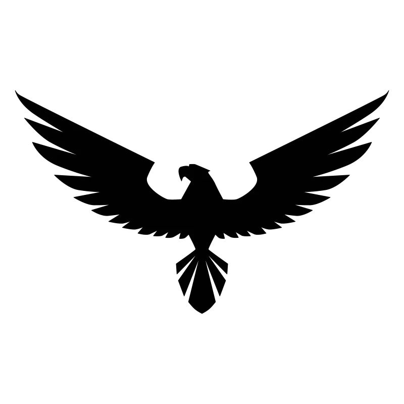 hawk