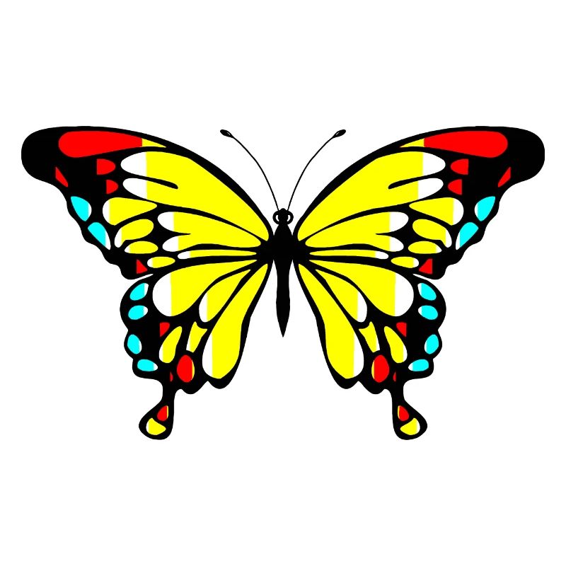 Papillon