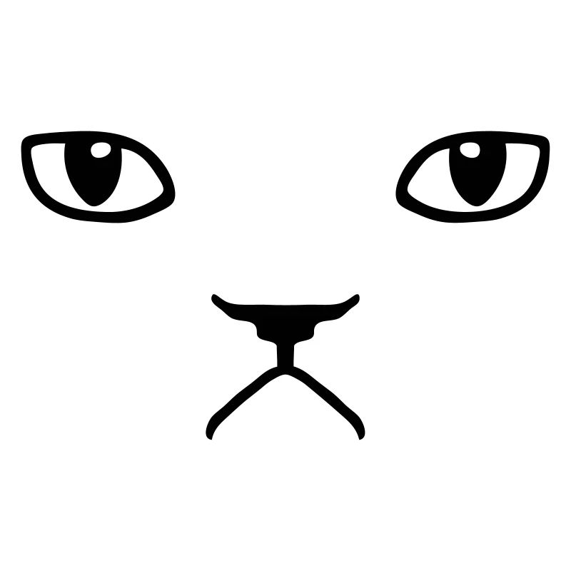 chat pas content grumpy kitty cat