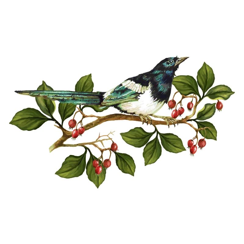 Bunter Vogel