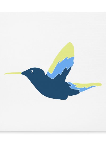 Hummingbird Bird