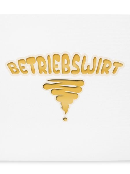 Beruf Betriebswirt