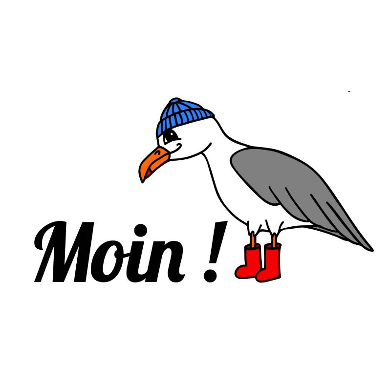 Moin, Möwe