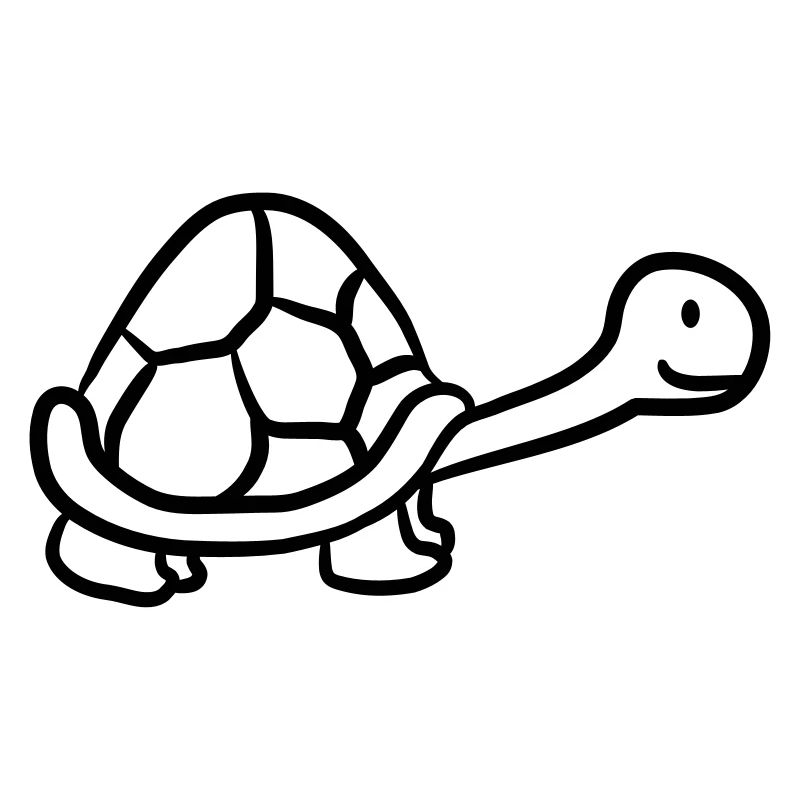 Small sweet cute turtle