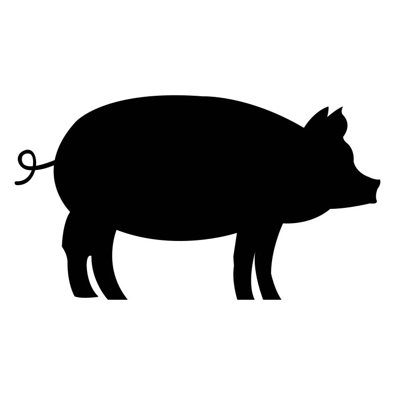 Schwein Pig