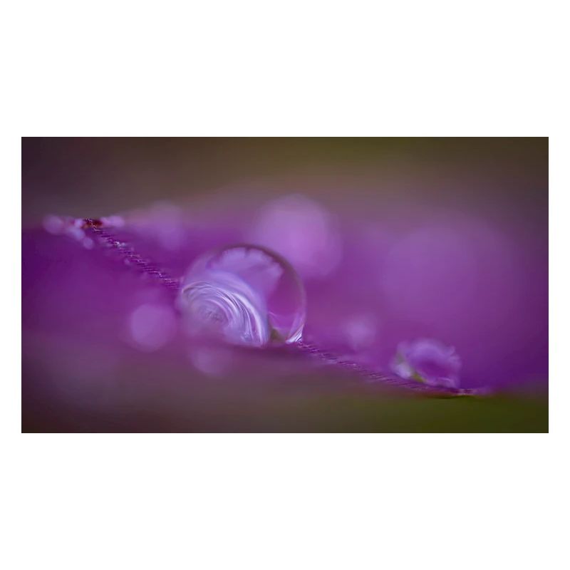 drop