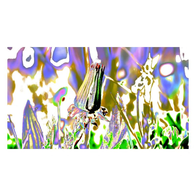 Wiese 731225