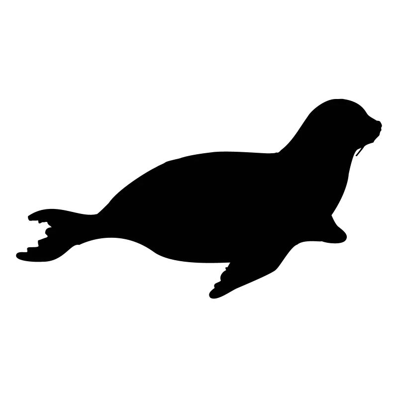 seal animal