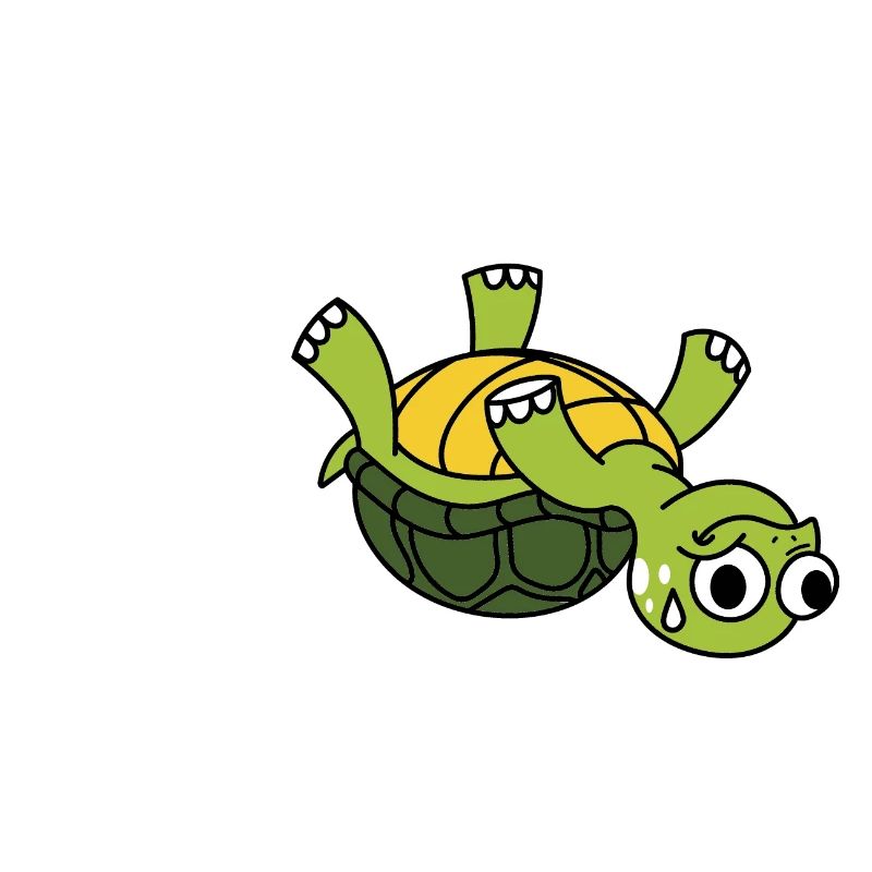 Schildkröte - Tortoise