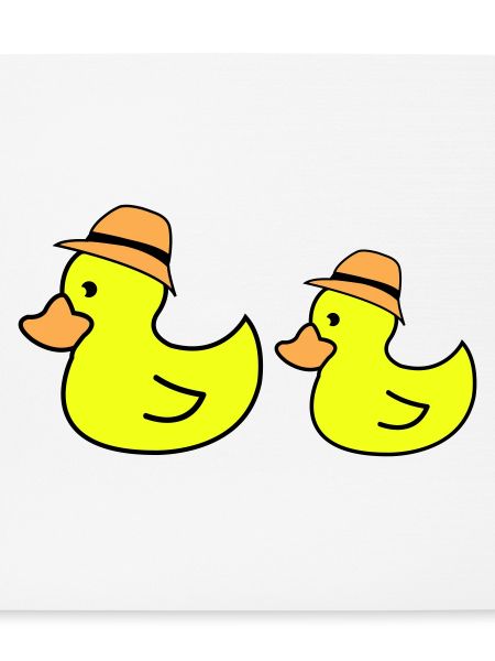 Duck Hat