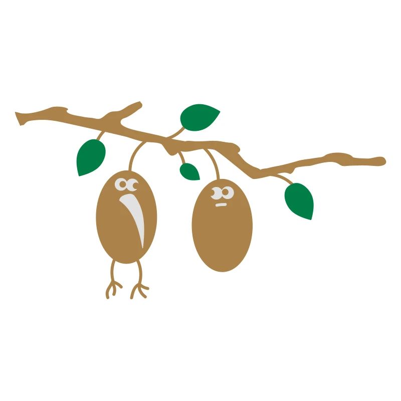 zwei Kiwis