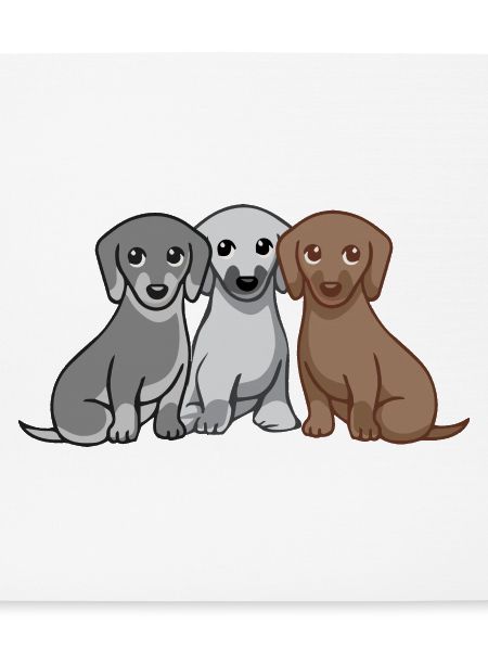 Drei Hunde
