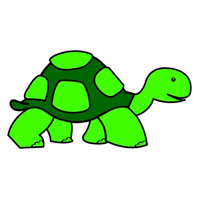 turtle