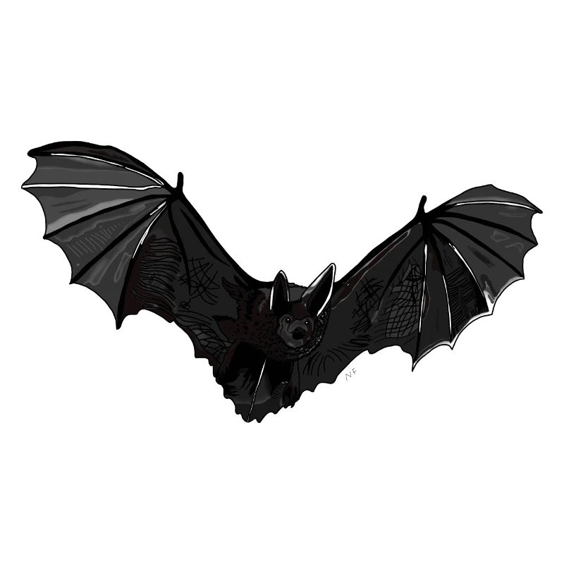 Fledermaus
