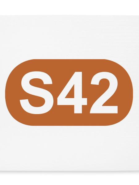 S-Bahn Berlin S42