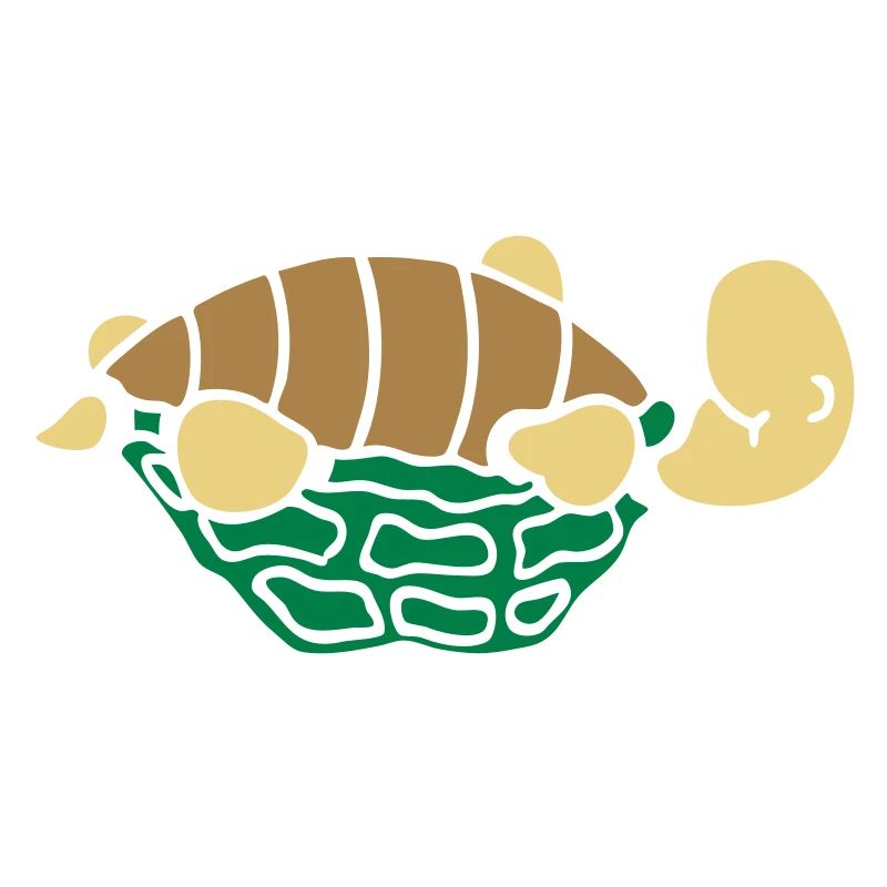 Schildkröte