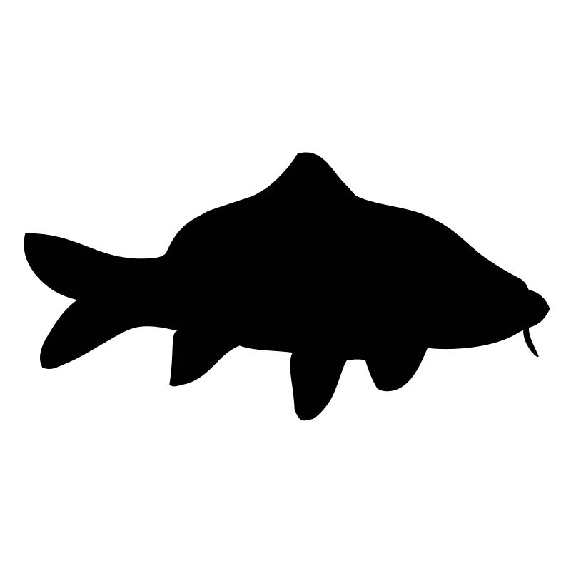 karpfen__f1