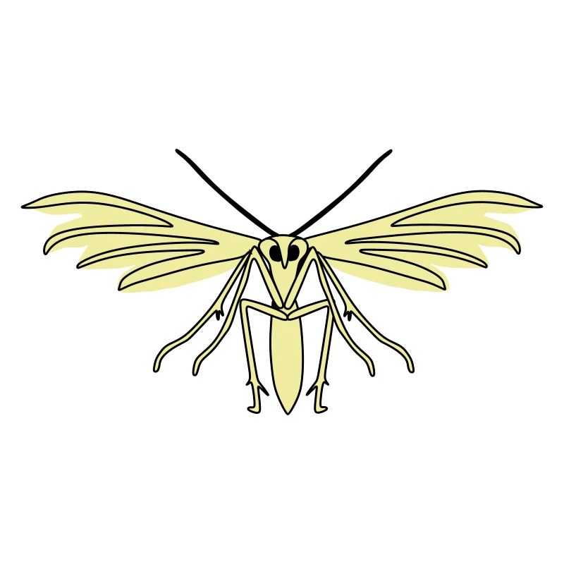 Feather moth