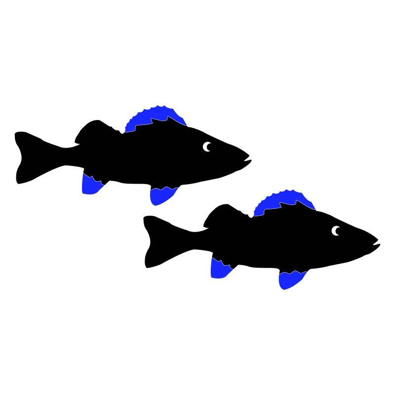 Baars Vis
