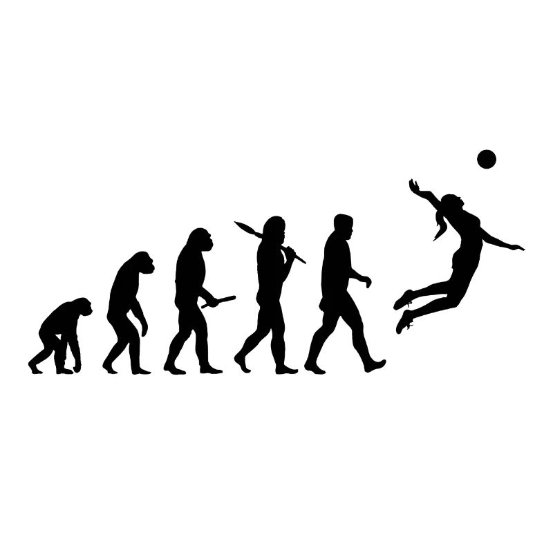 Evolution of Volleyball