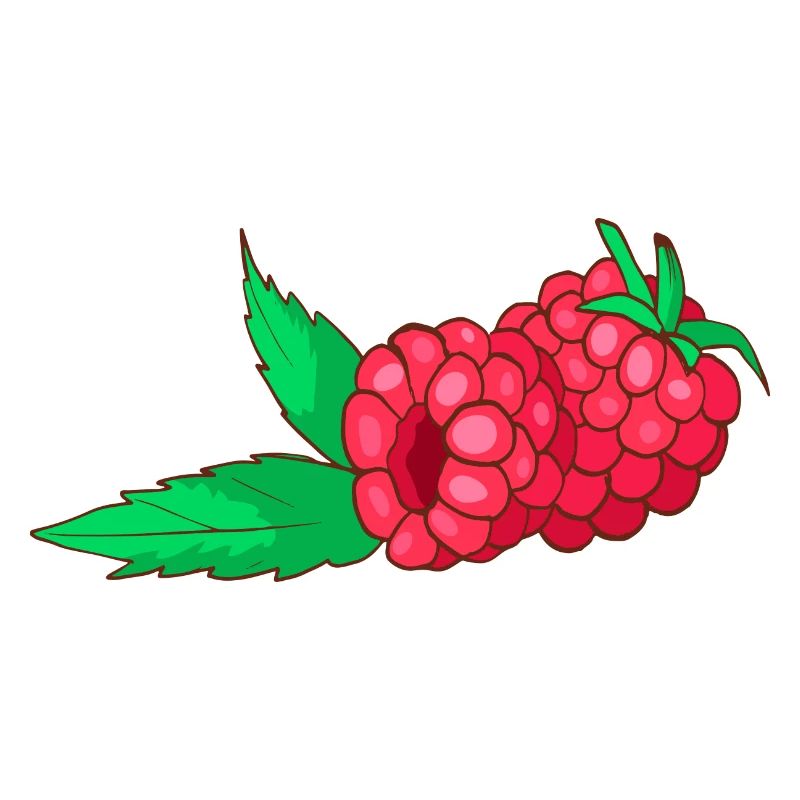Himbeeren
