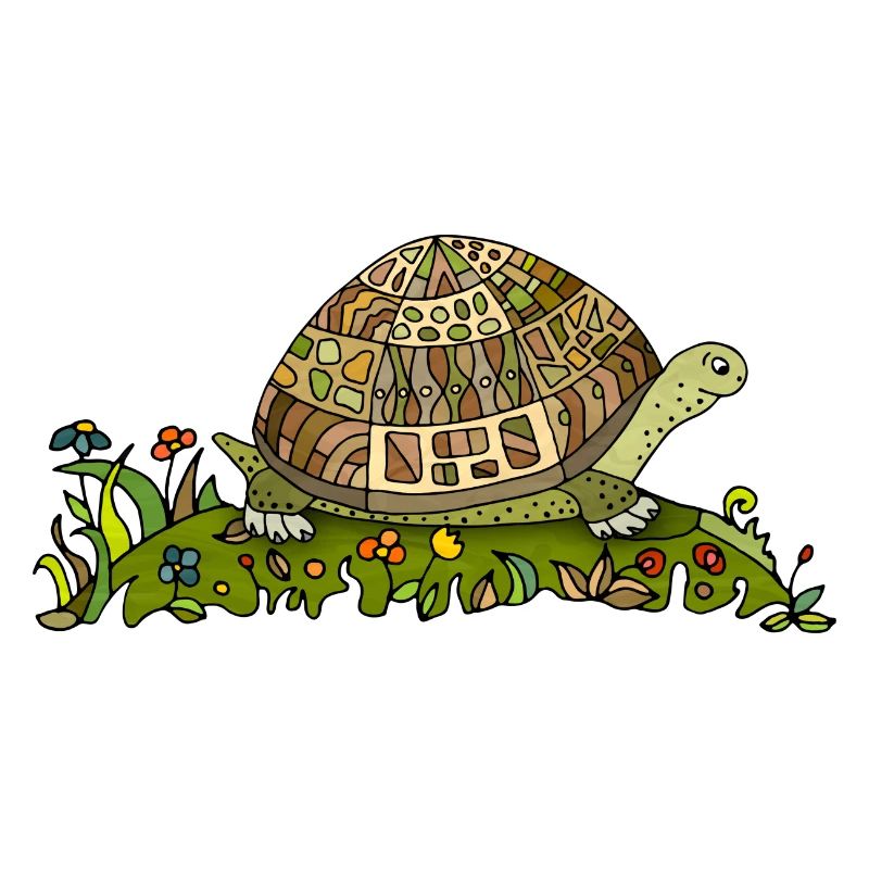 Schildkröte
