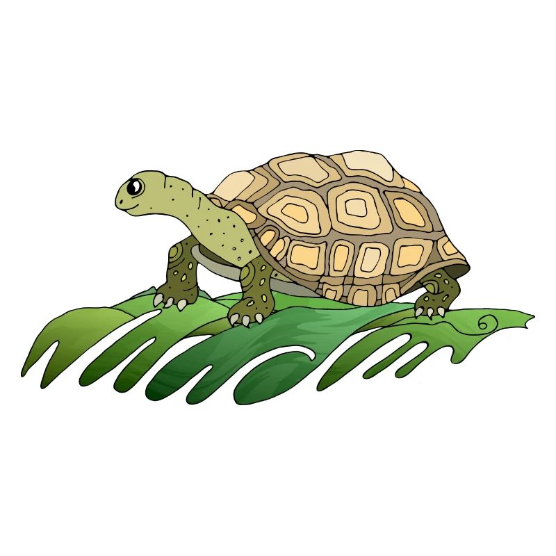 Schildkröte