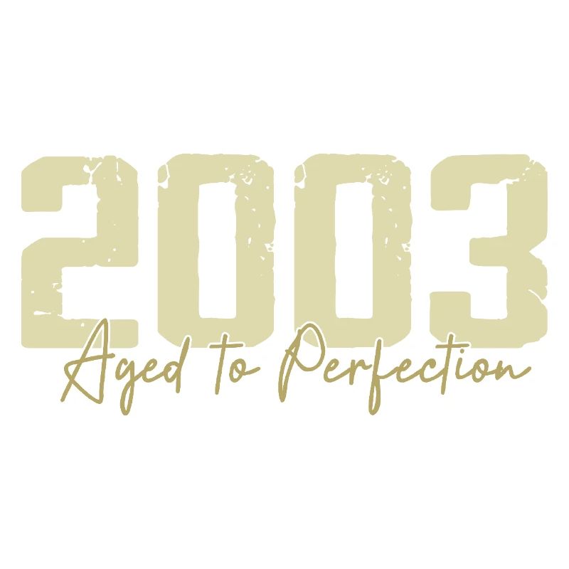 Original 2003 Retro 2003 Geburtstagsgeschenk 2003