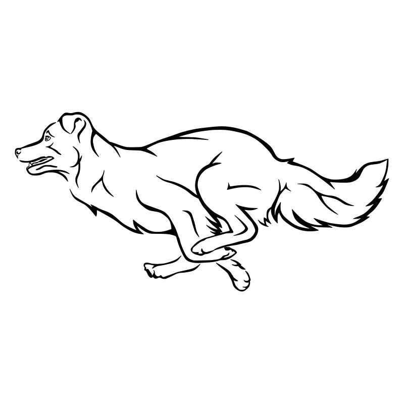 Running Dog - Agility