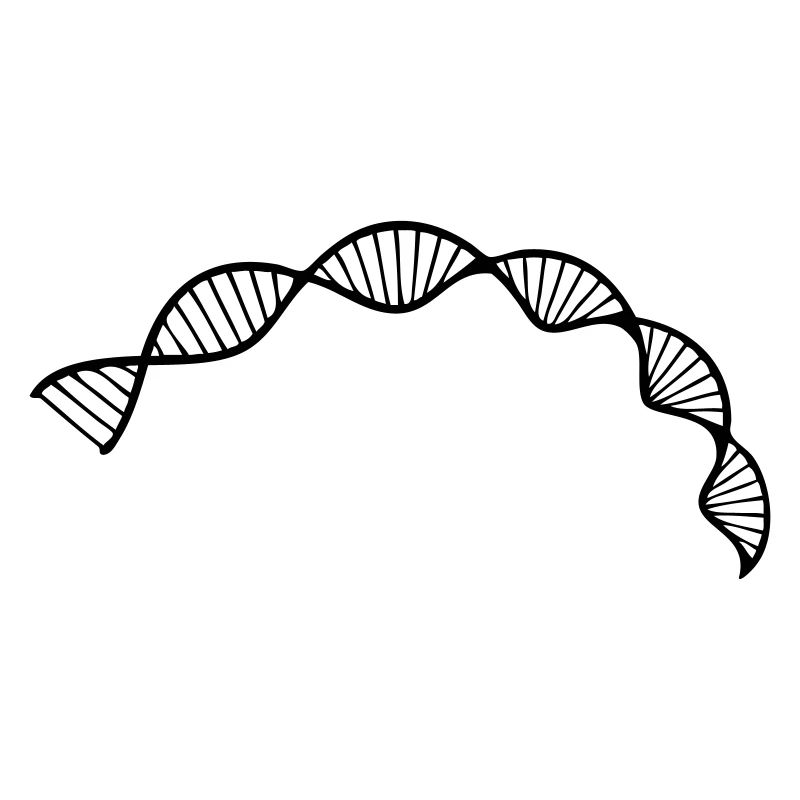 Zellsequenz der DNA-Doppelhelixstruktur
