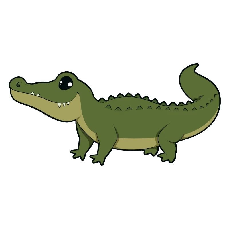 Alligator