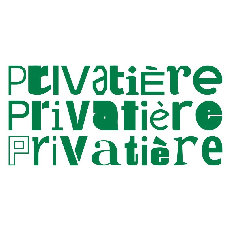 Privatisation Privatisation mot devise dire