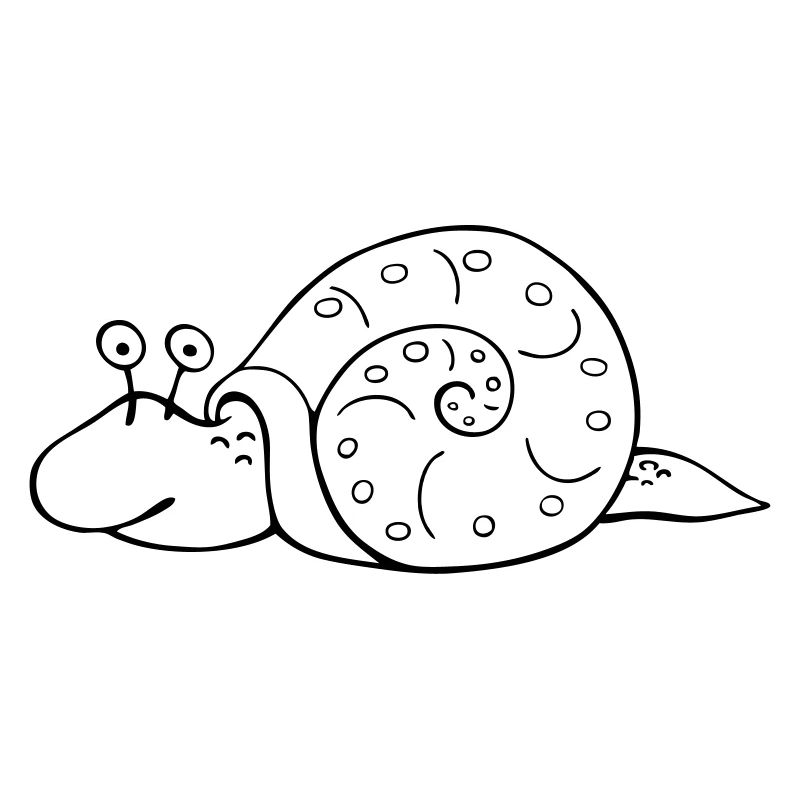 Schnecke