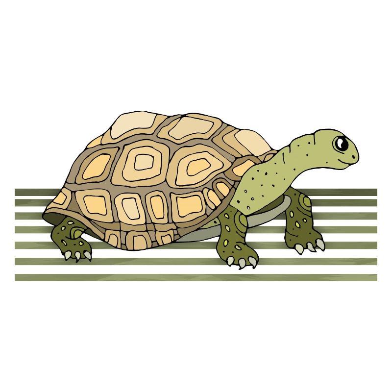 Schildkröte