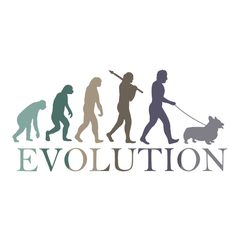 L’ÉVOLUTION DE LA CORGA