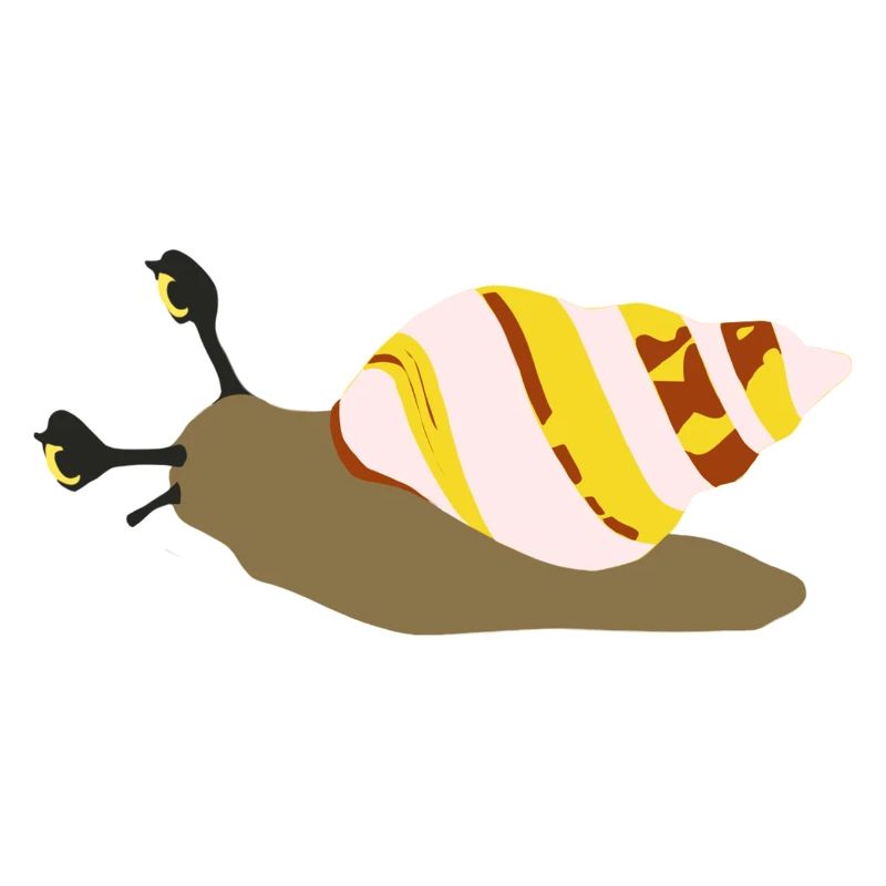 Schnecke VIII