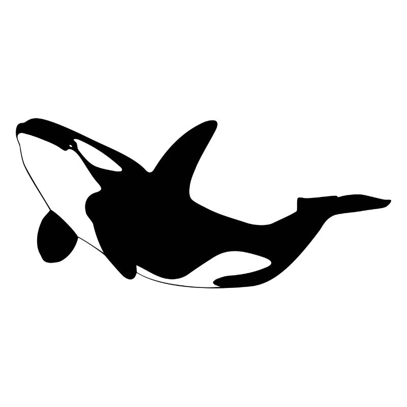 Orca