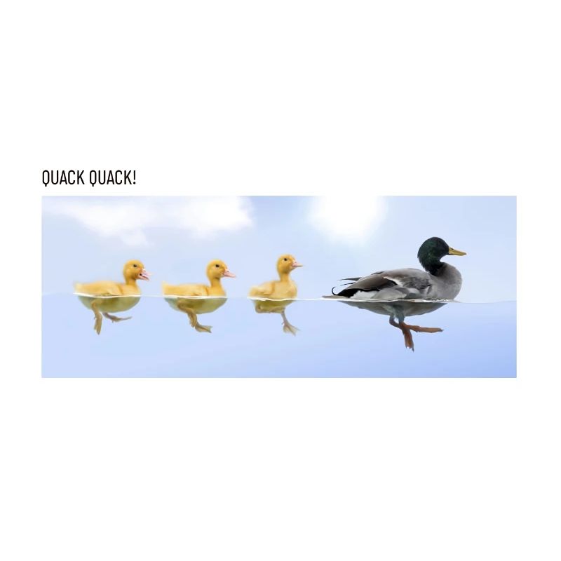 Duck Quack Quack