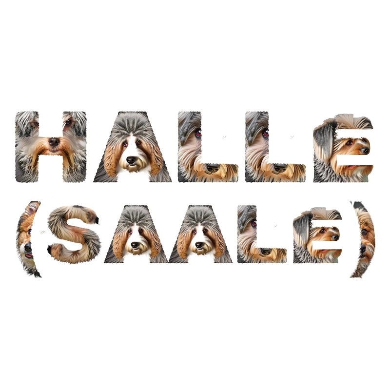 Halle (Saale) Hund