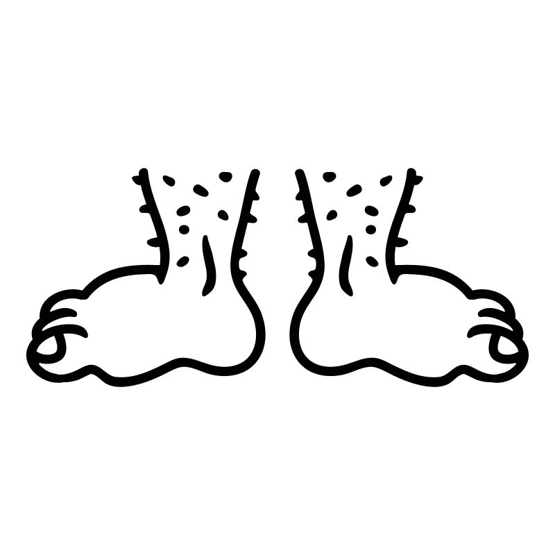 Feet - Line